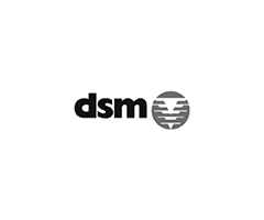 DSM 